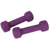 Sport Dumbbells For Body Exercise